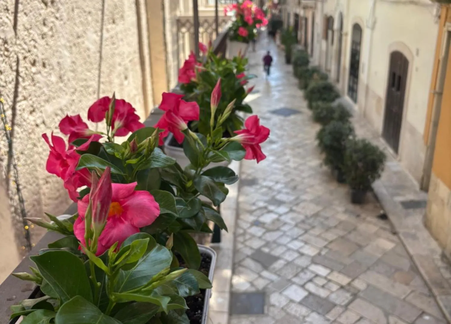 Bed & Breakfast L'Officina Bed and Breakfast Bari Italien